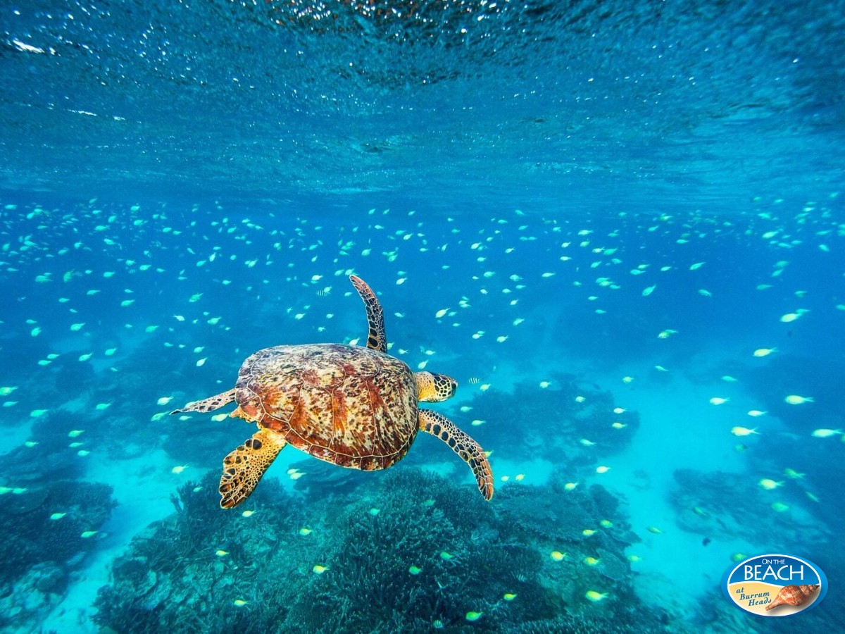 [Land for Sale] On The Beach Estate, Burrum Heads OpenLot